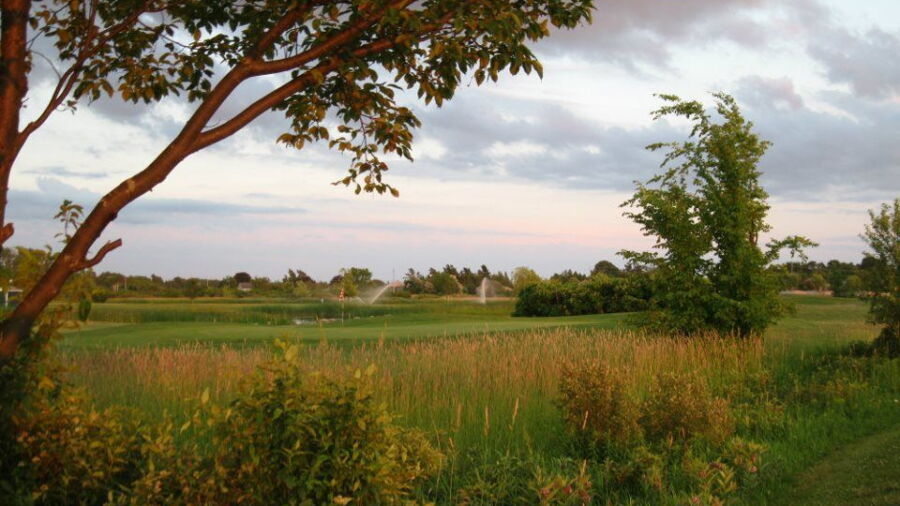 Landings GC