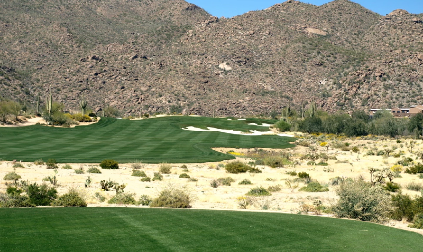 Golf Club at Dove Mountain - Wild Burro - 5th