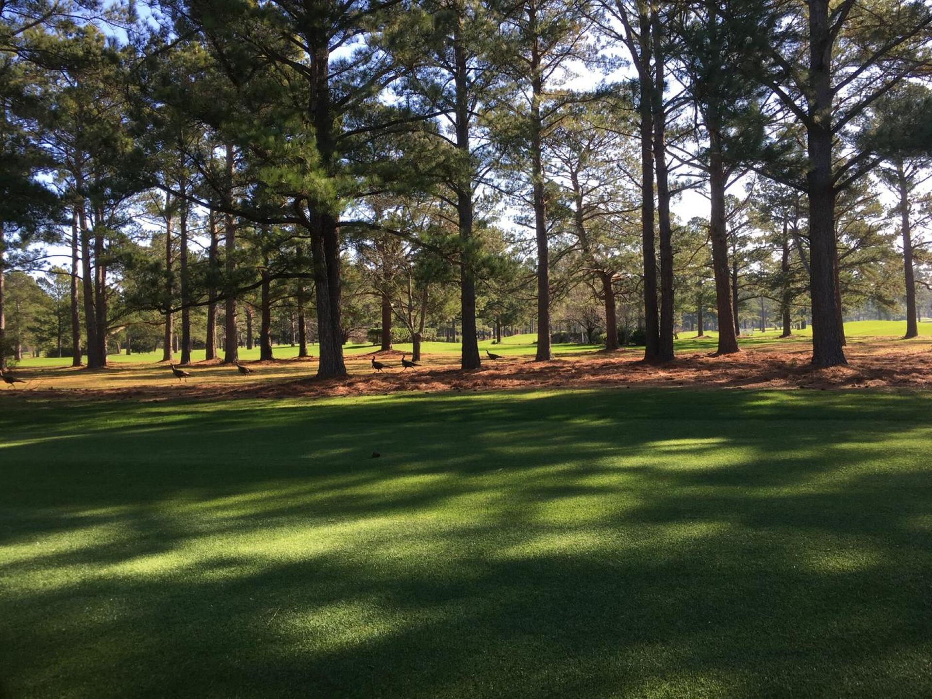 (Photo submitted by Maq5cbpGLB8G5WsswtcR on 03/04/2020)