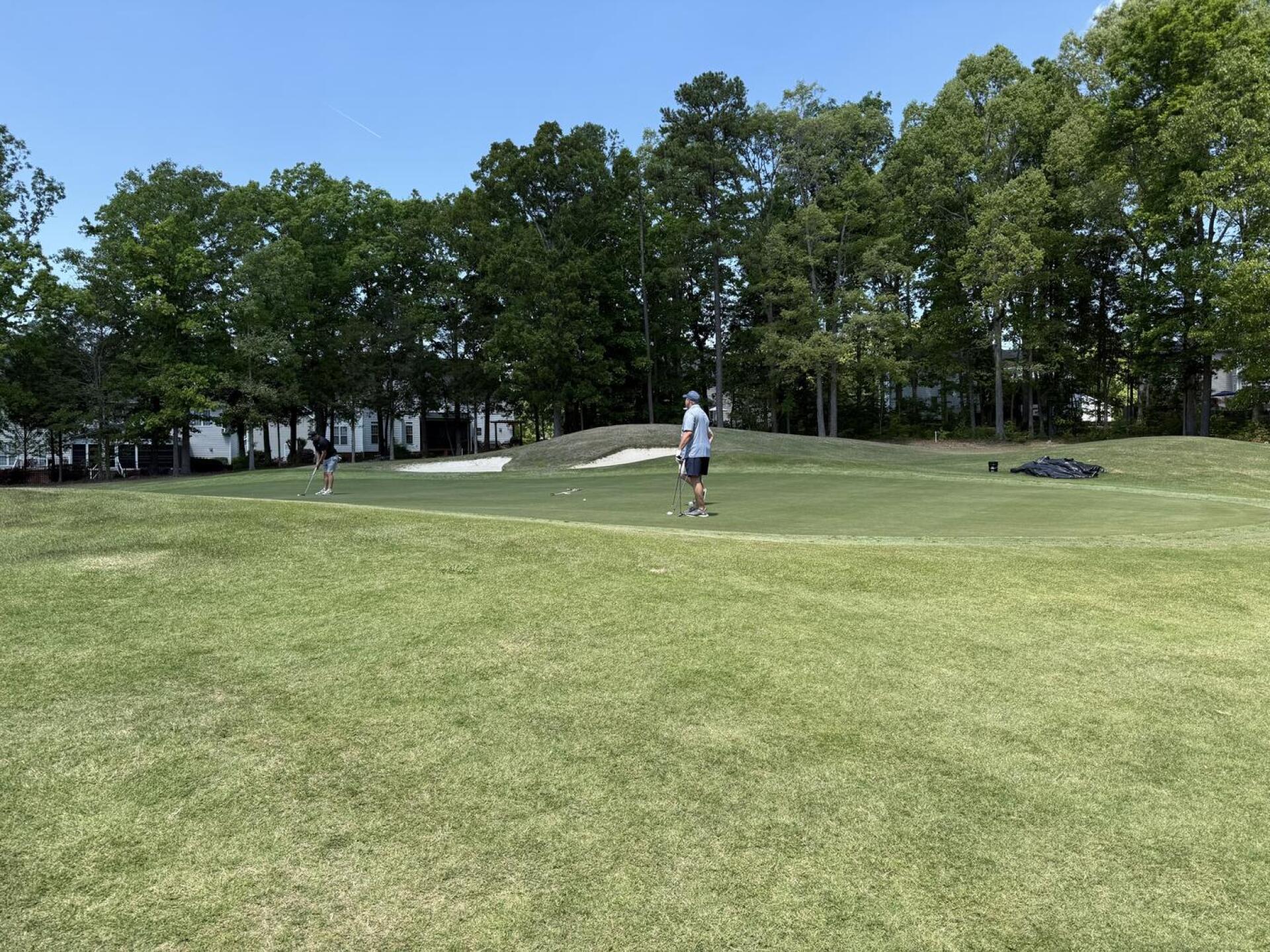 (Photo submitted by doral7777 on 04/11/2026)