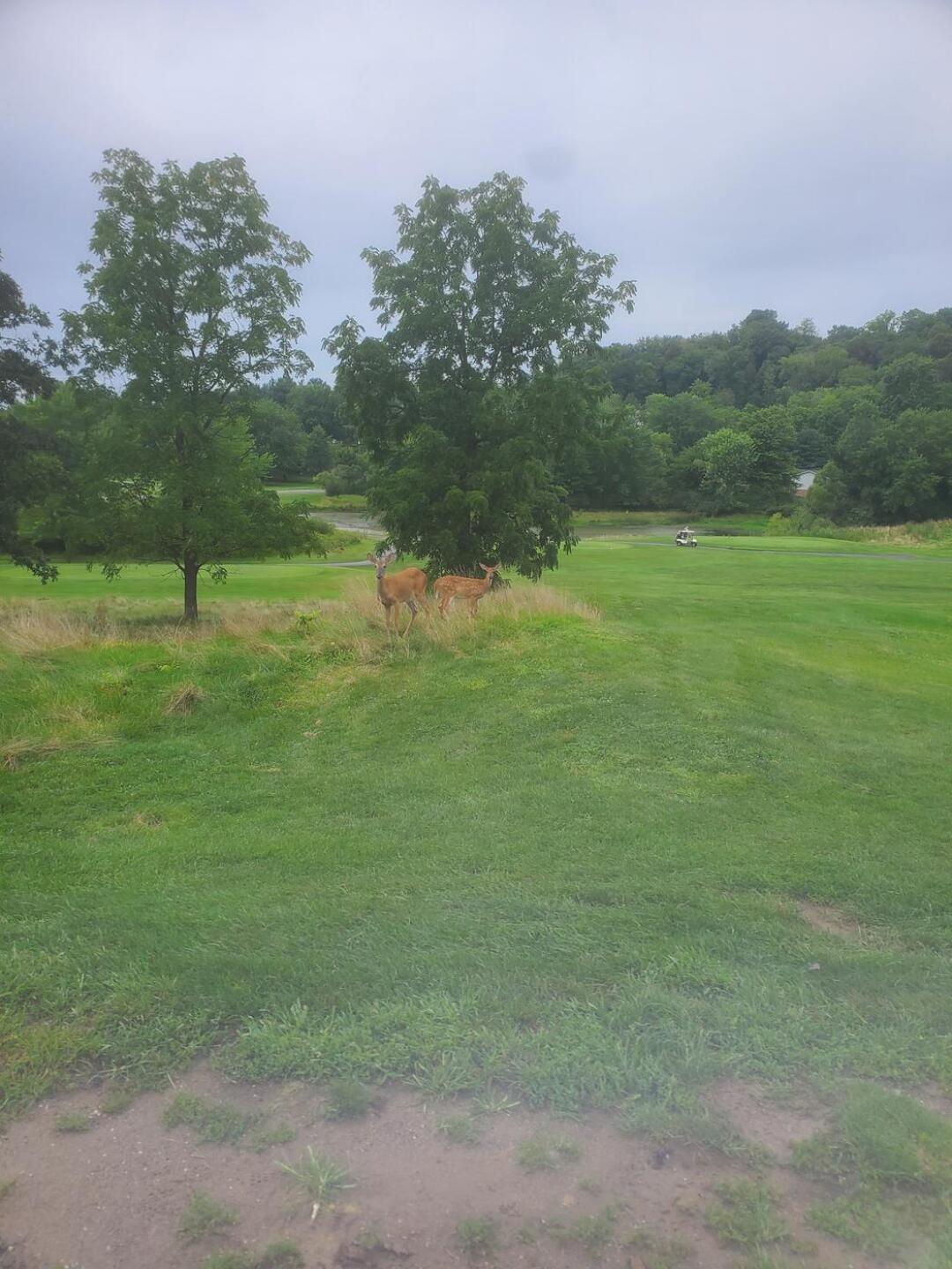 (Photo submitted by embarefoot on 08/11/2022)