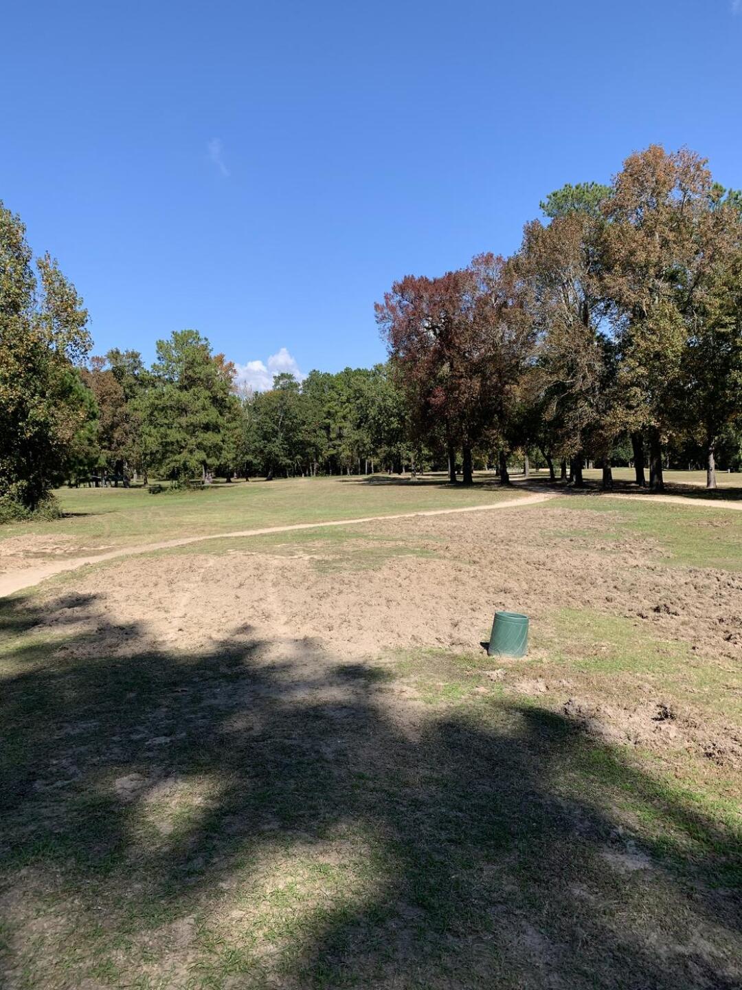 (Photo submitted by txbeerngolf on 11/07/2020)