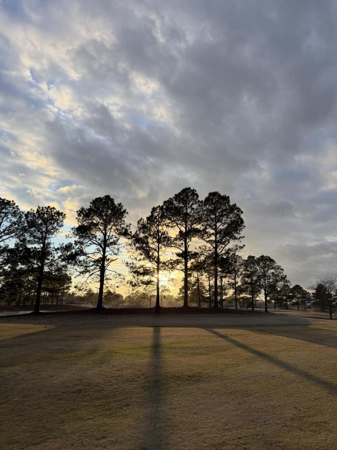 17 Fairway (Photo submitted by RogerSuperman on 03/09/2026)