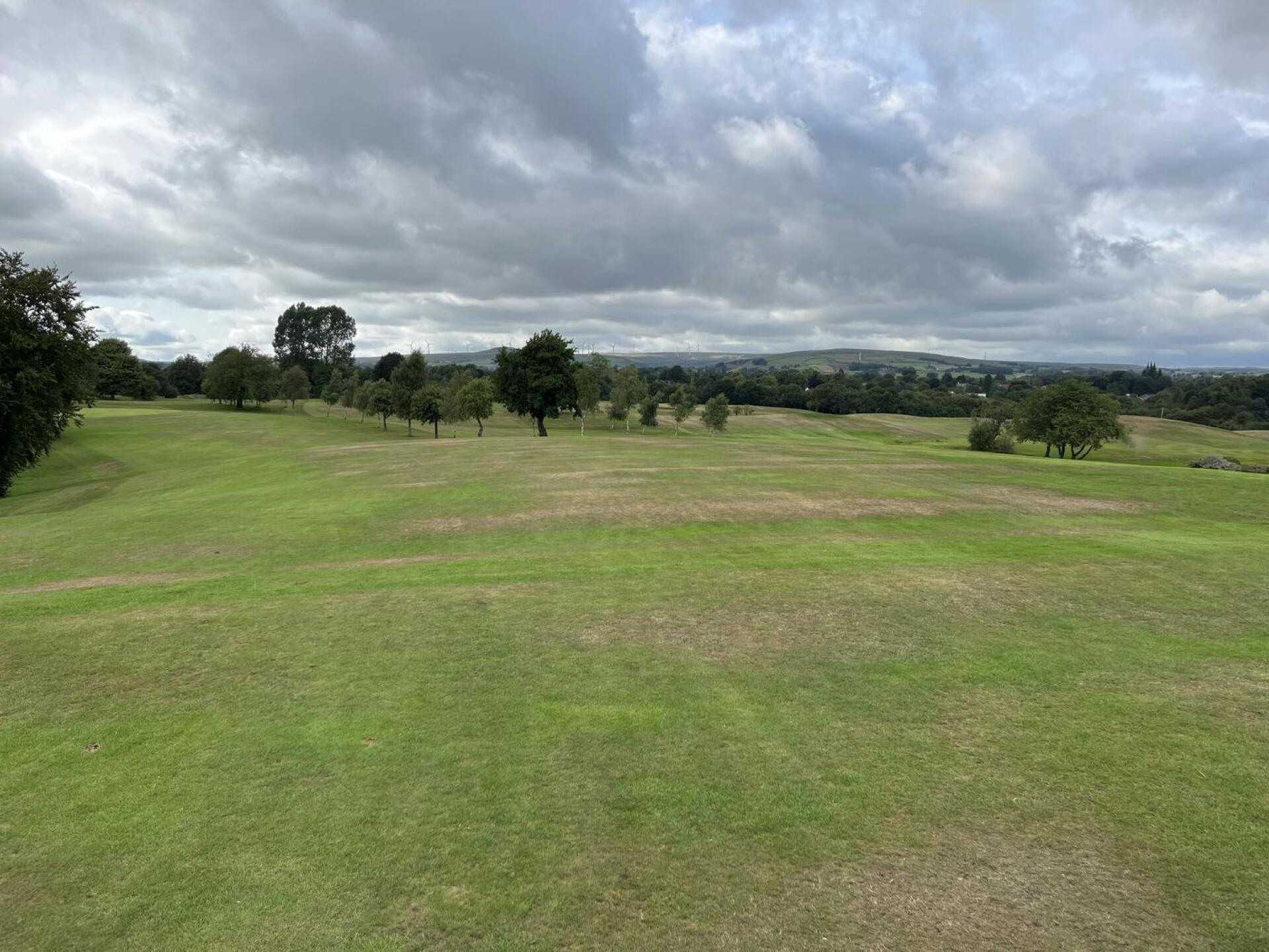 (Photo submitted by sFWQEJh5RU2h4MpIrGLO on 08/01/2025)