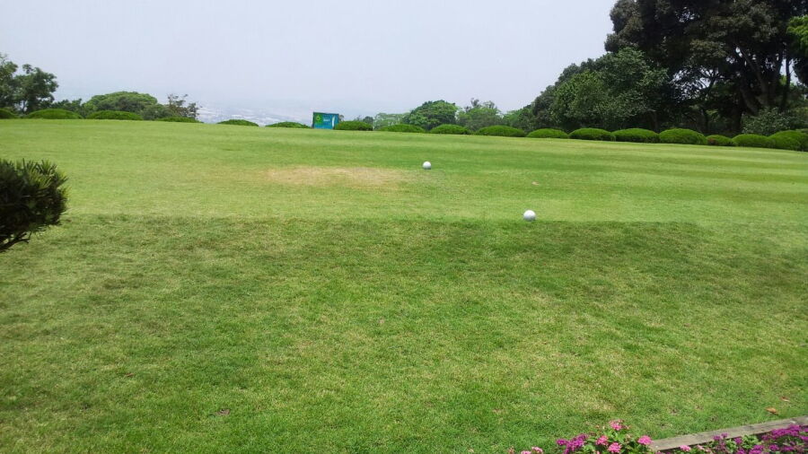 Feng Yuan GCC
