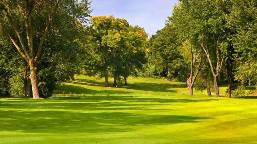 St. Cloud CC: #15