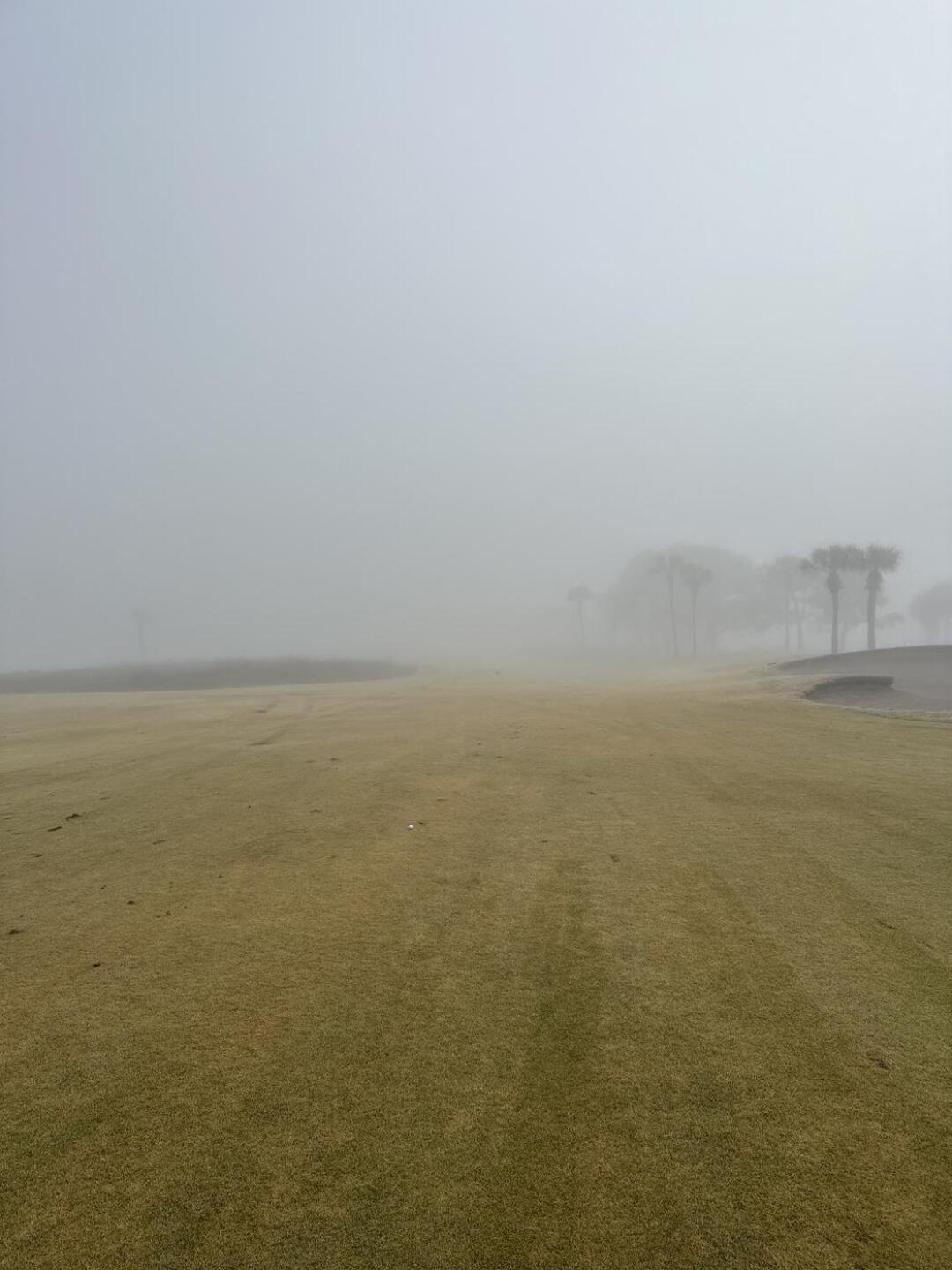 (Photo submitted by u314162914701 on 01/02/2023)