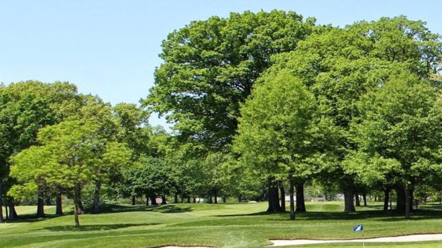 Glen Ridge CC