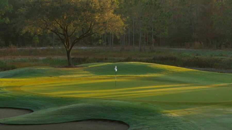 North at Shadow Wood CC: #12