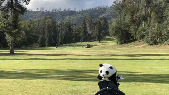 Wilson Golf Course at Griffith Park - views