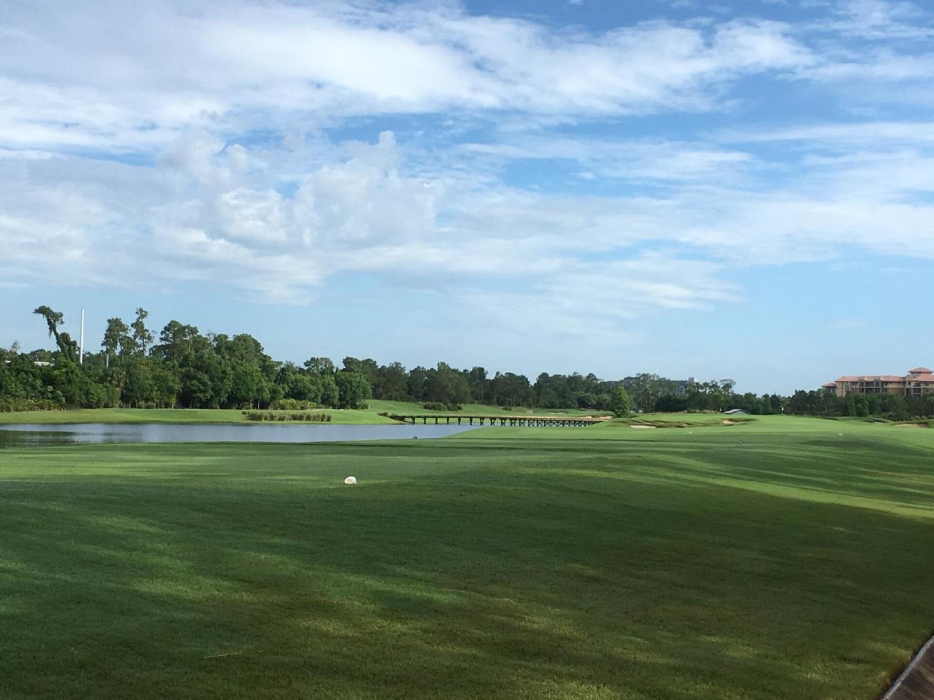 (Photo submitted by Paulburt1 on 06/10/2019)