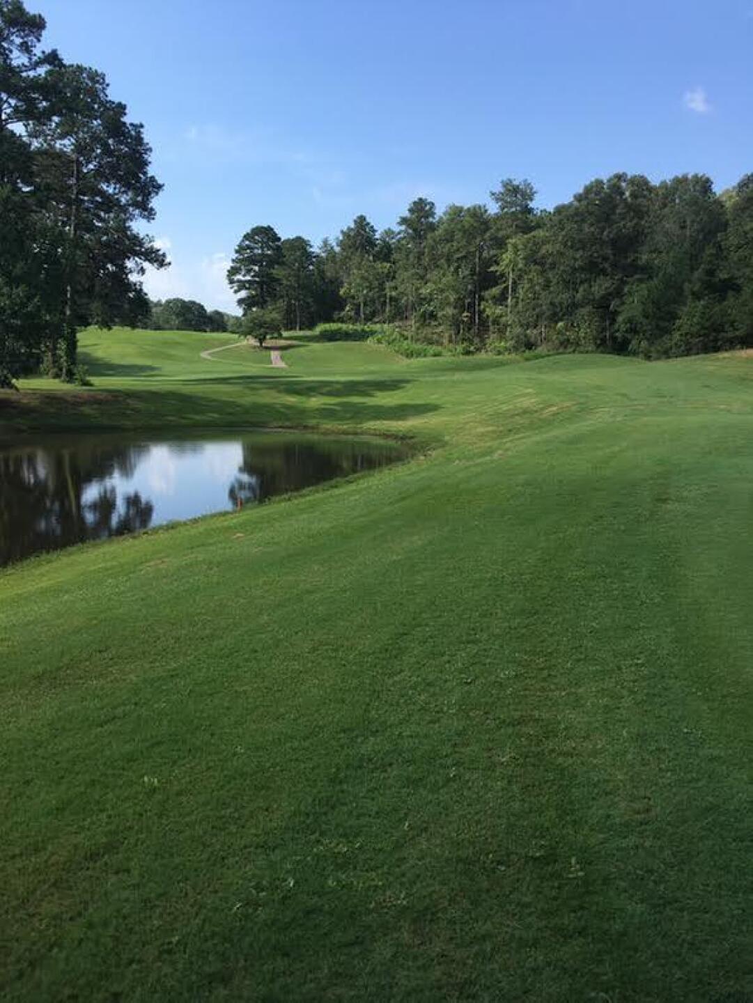 #14 par 3 view from the green back to the tee box (Photo submitted by ToeShank on 02/17/2019)