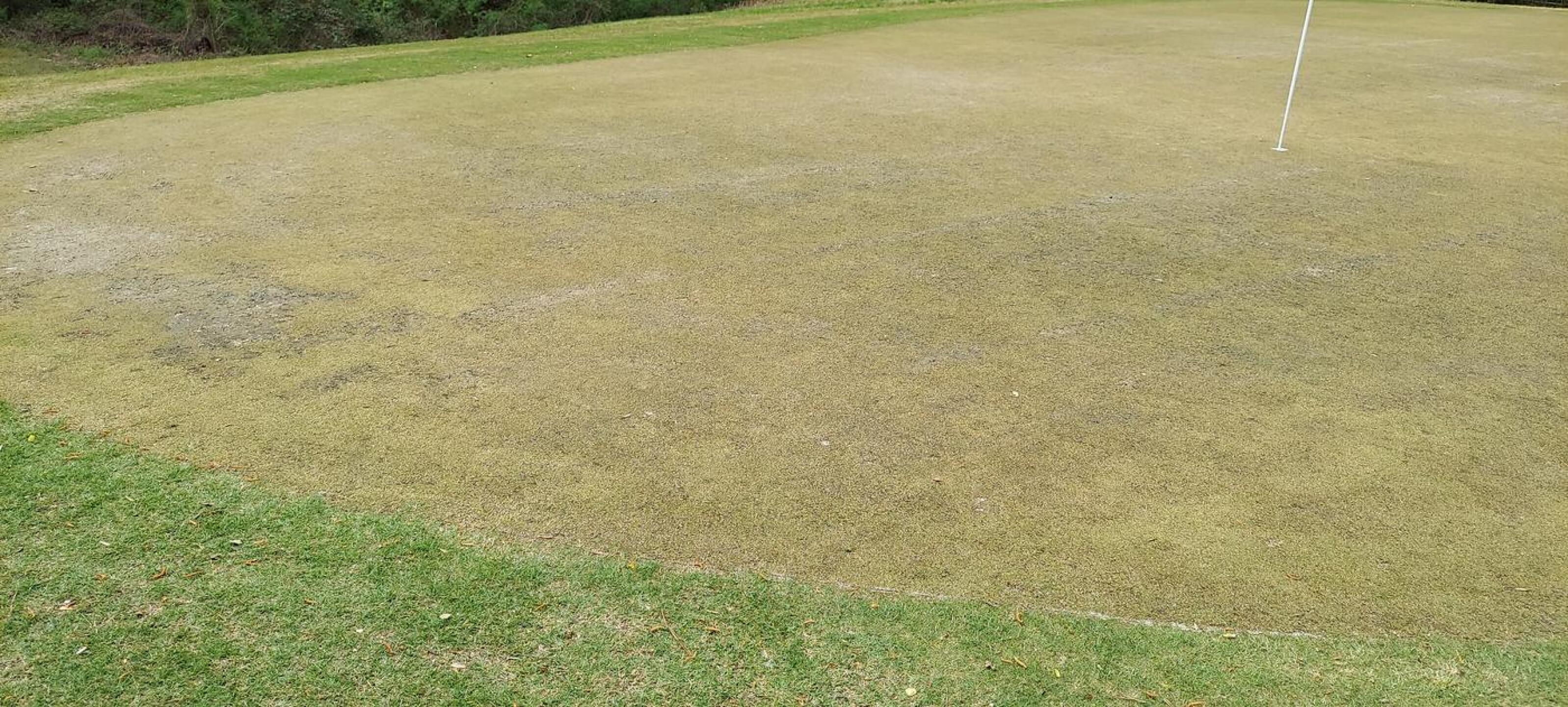 (Photo submitted by u621076289 on 04/23/2022)