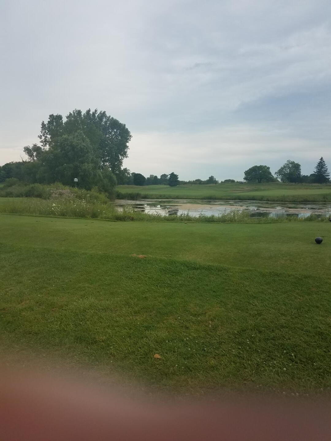 (Photo submitted by howardkhru on 08/19/2019)