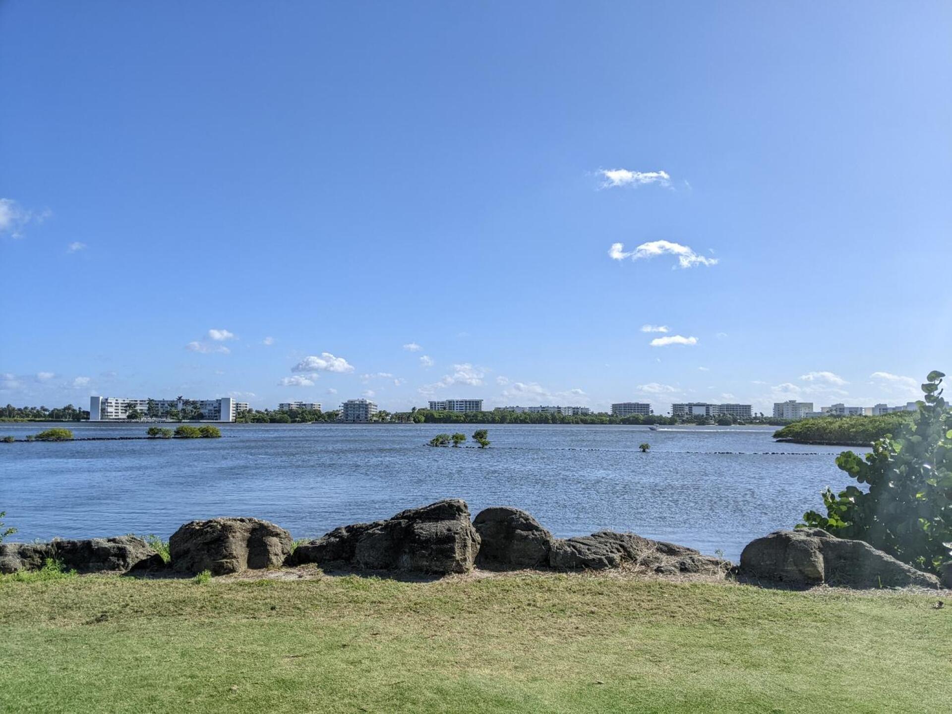 (Photo submitted by tiburonazo on 01/18/2022)