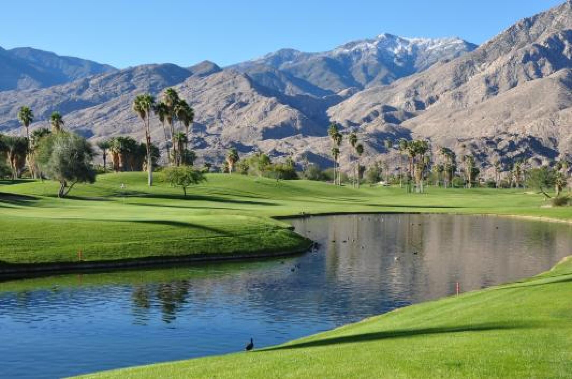 (Photo submitted by uhahn on 01/01/2013)