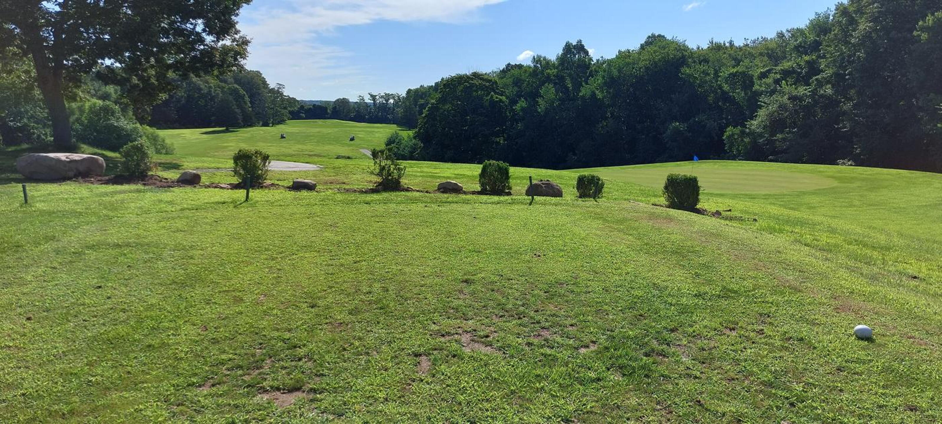 while the greens and tee boxes continue to go downhill, the greenskeeper has the time and money to put these pointless bushes and rocks behind the 11th green.  No priorities. (Photo submitted by hendu11 on 08/03/2023)
