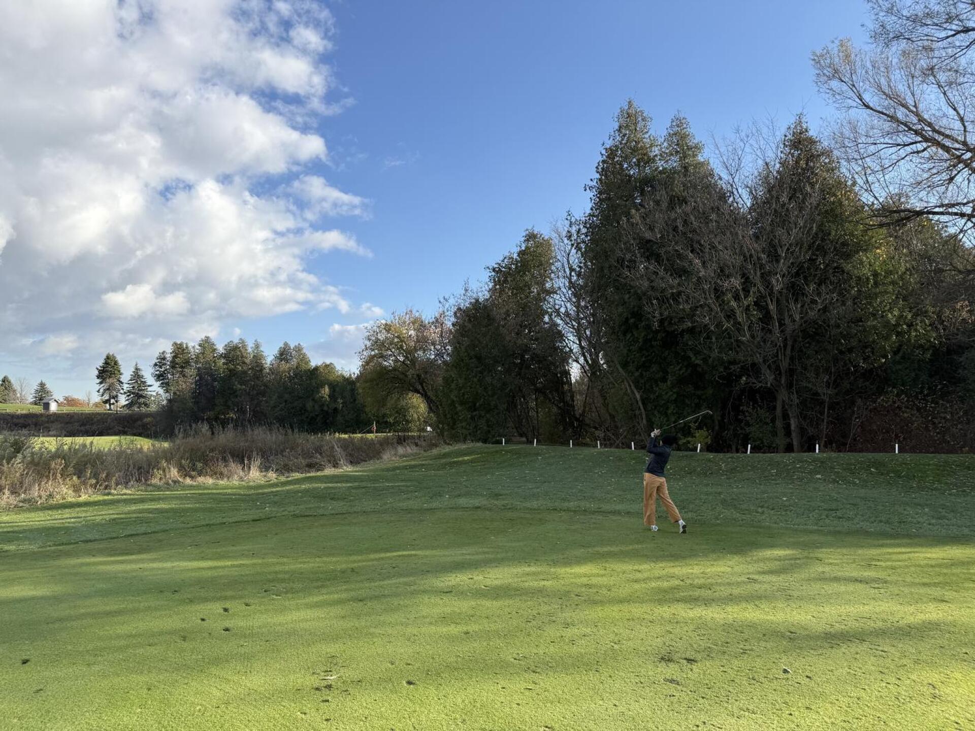 (Photo submitted by u337110227 on 11/05/2025)