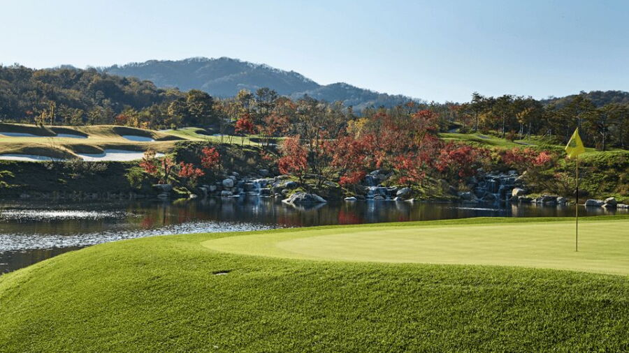 Wellington CC - Wyvern Nine: #7