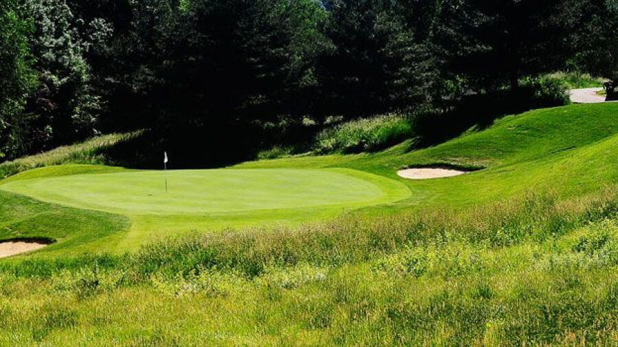 Player at Lyman Orchards GC: #8