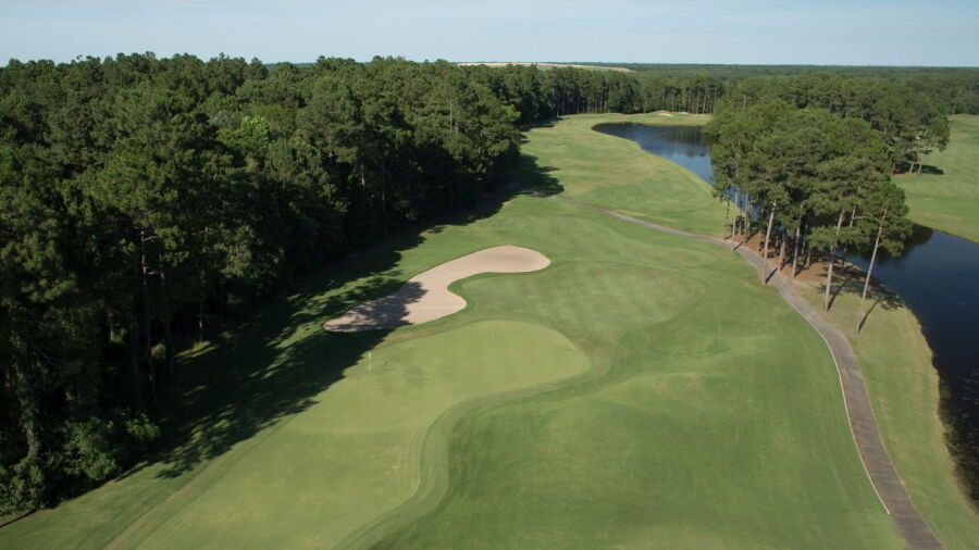 Wild Wing Plantation - Avocet: #6