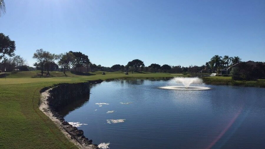 Ibis GCC