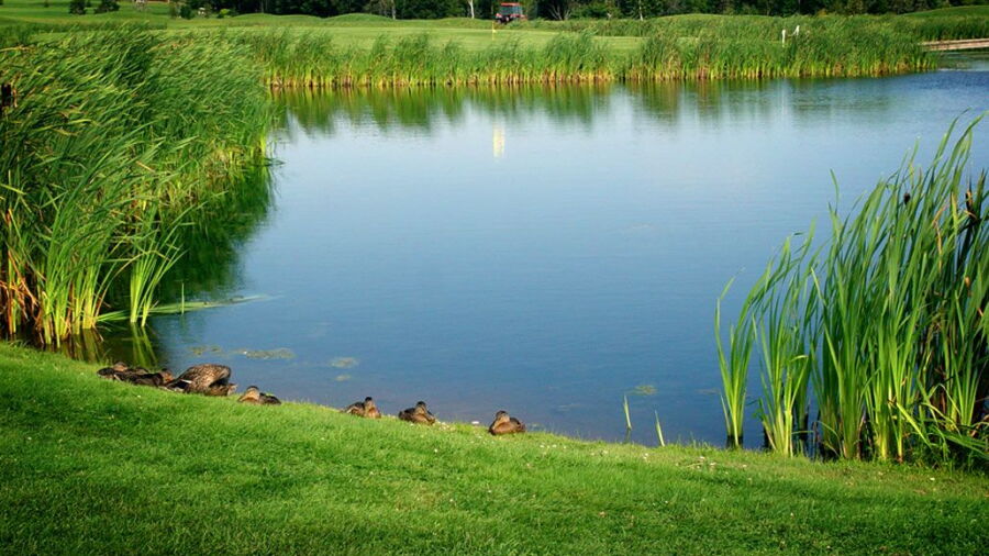 Clyde River GC