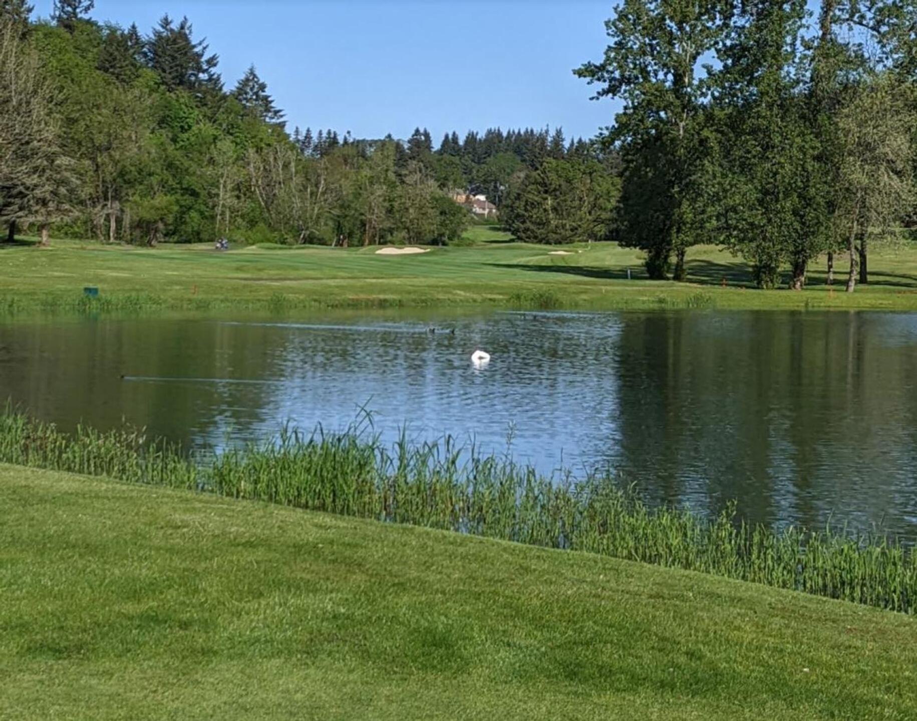 (Photo submitted by sorenj on 07/24/2022)