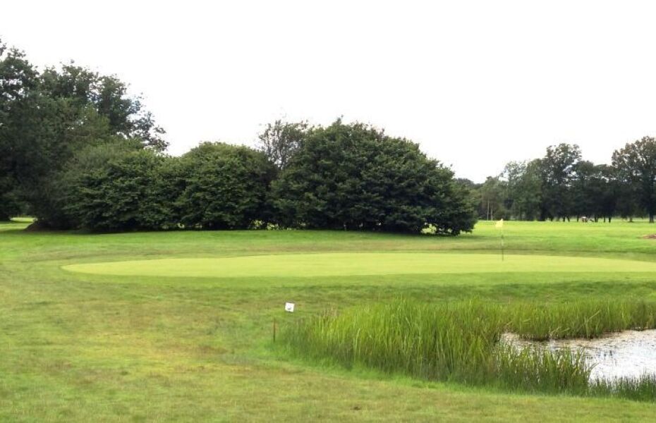 Ferndown Forest GC
