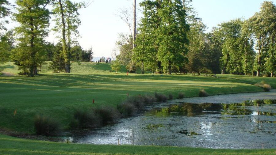 Gowran Park G & Race C: #8