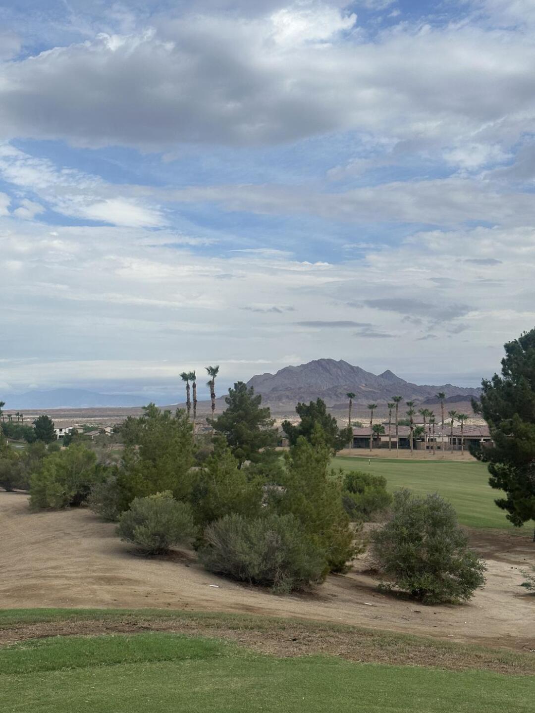 (Photo submitted by u314162909572 on 09/02/2023)