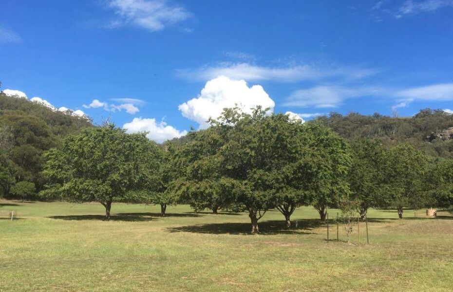 Murrurundi Golf Club in Murrurundi, Hunter Valley, Australia GolfPass