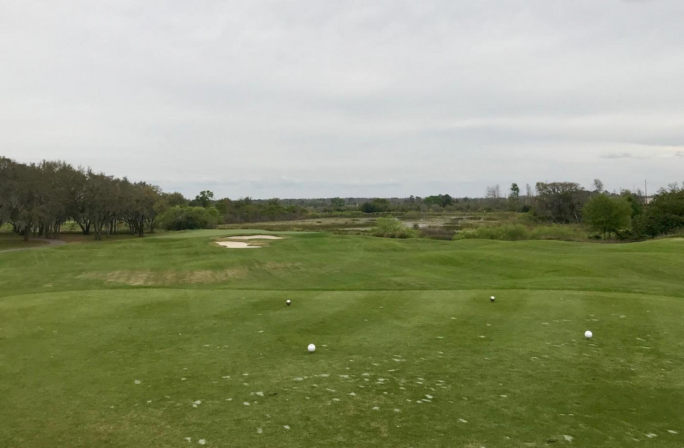 Water lurks long at Crooked Cat's downhill par-3 15th. (Photo submitted by TimGavrichGP on 04/09/2018)