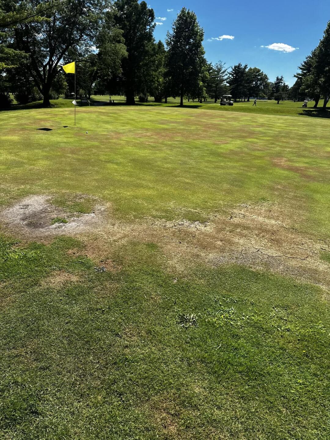 (Photo submitted by z4AcLDDJ3Xn7FHZDVn6k on 07/01/2024)