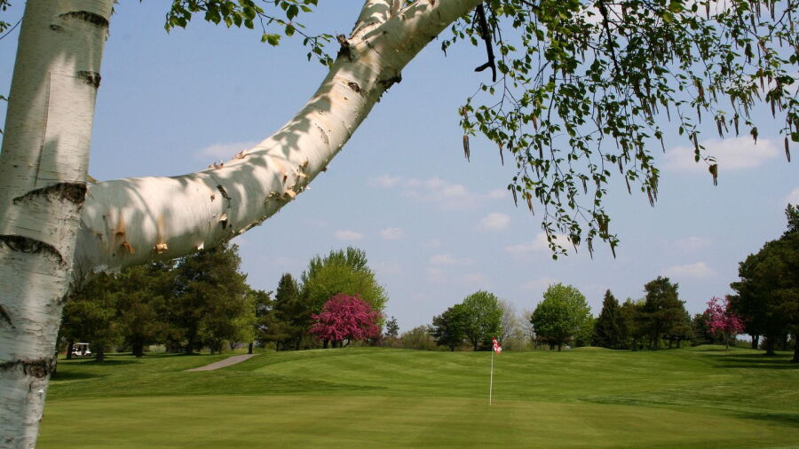 CenterPointe CC