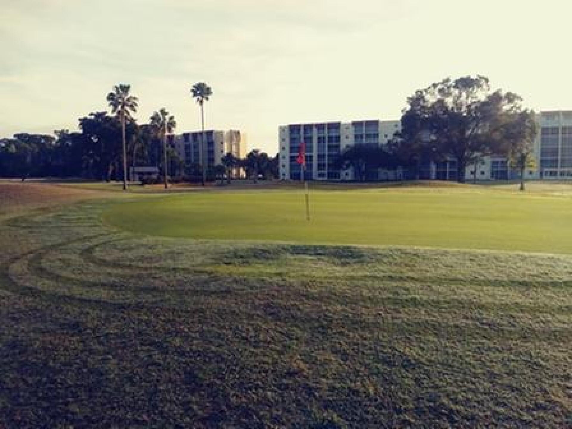 16 green in the morning, beautiful! (Photo submitted by drsedlack on 01/04/2019)