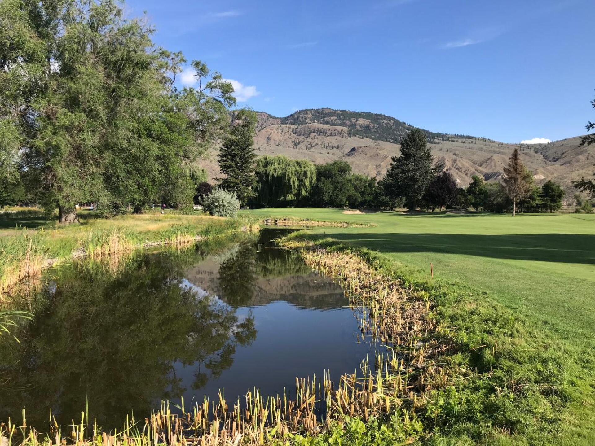 (Photo submitted by JasonDeeganGA on 07/24/2019)