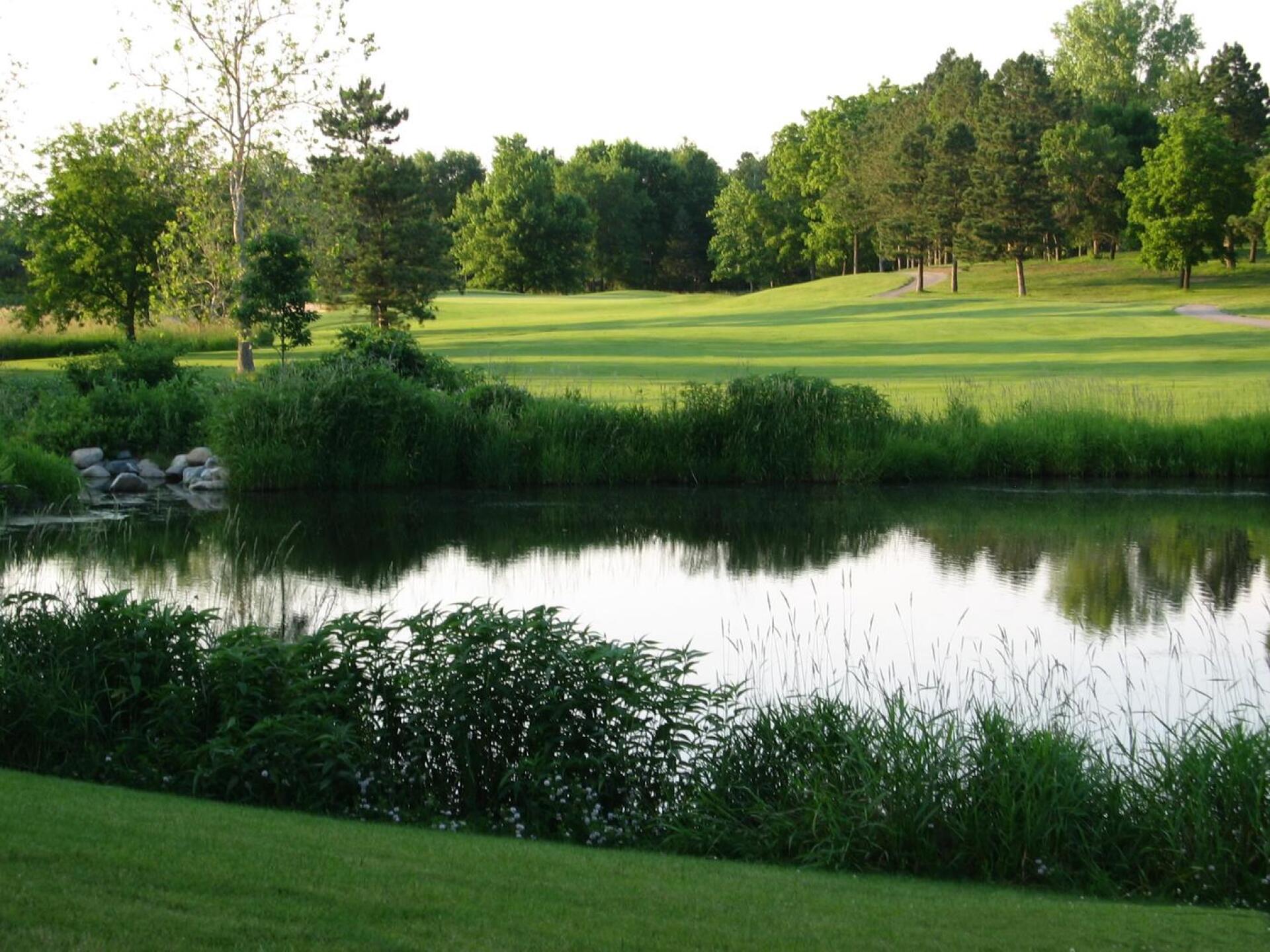 Hole 14 (Photo submitted by toddflodman on 06/21/2016)