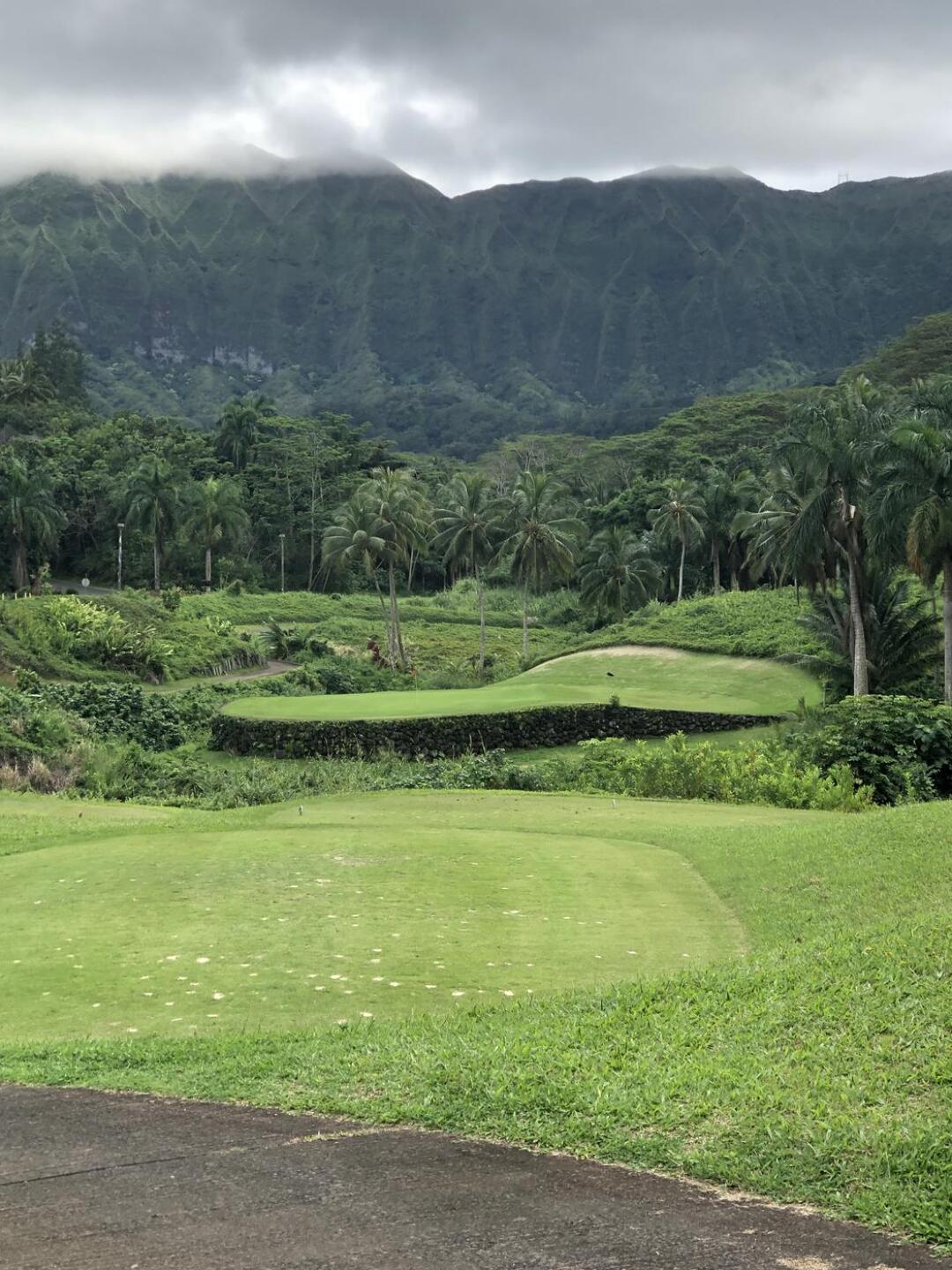 (Photo submitted by jimnjodygolf on 11/01/2021)