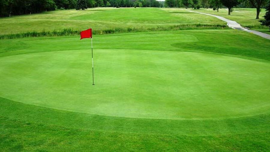 Loudon Meadows GC: #3