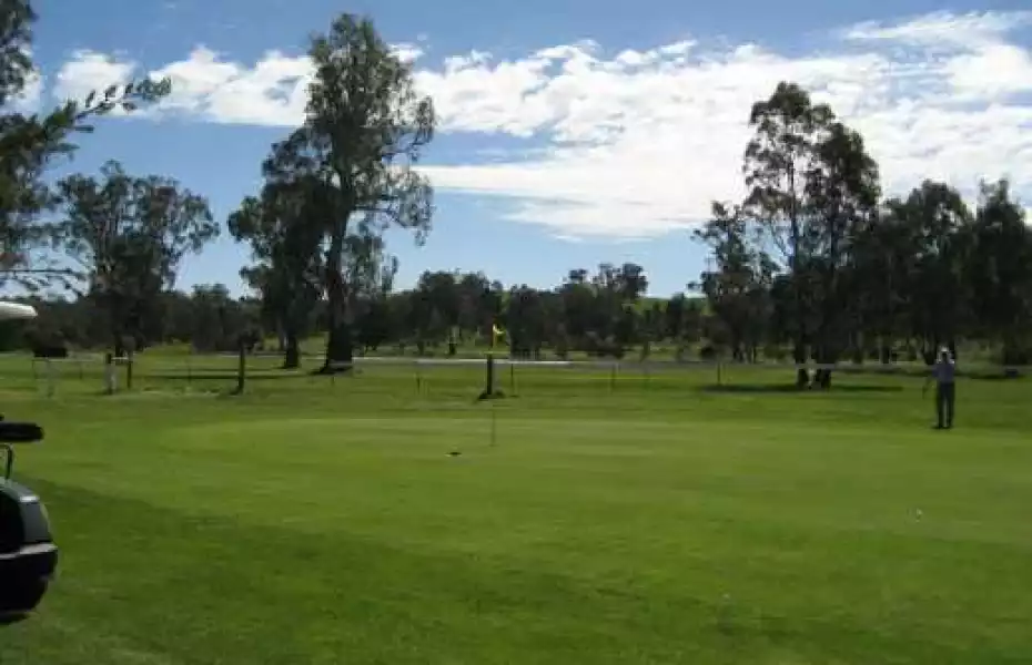Alexandra GC