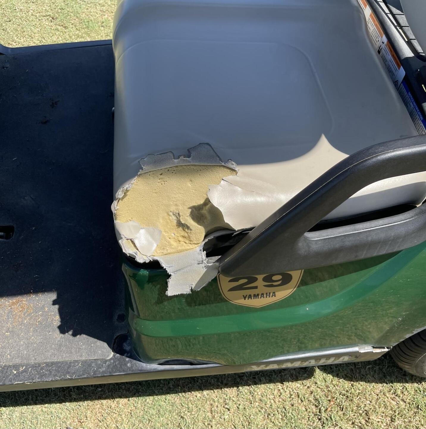 Ripped cart (Photo submitted by rjmapile on 08/30/2022)