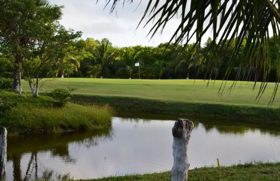 CG Playa Palmas del Carmen