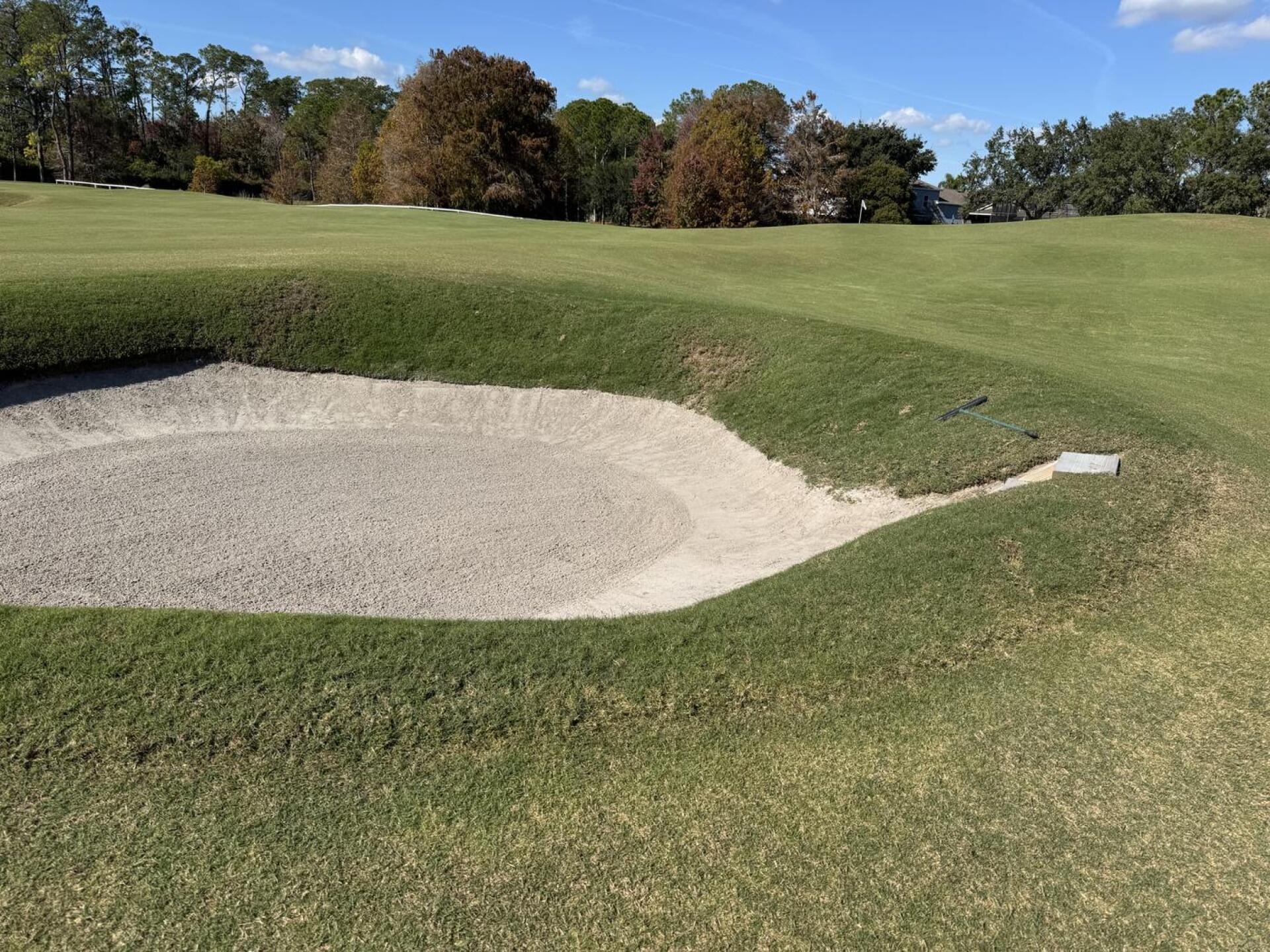 (Photo submitted by gn24210417 on 01/16/2026)