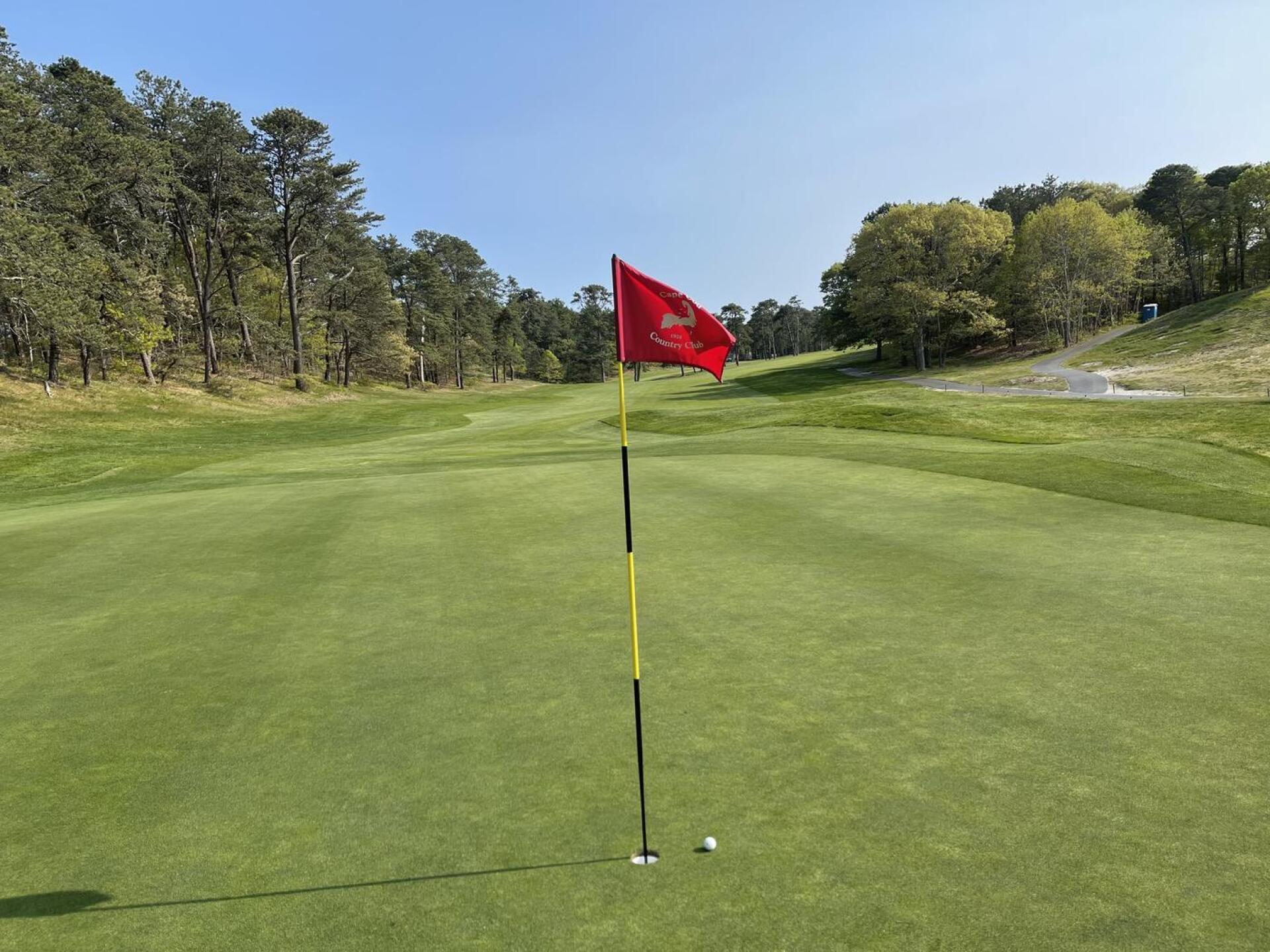 (Photo submitted by DBranca on 05/19/2021)