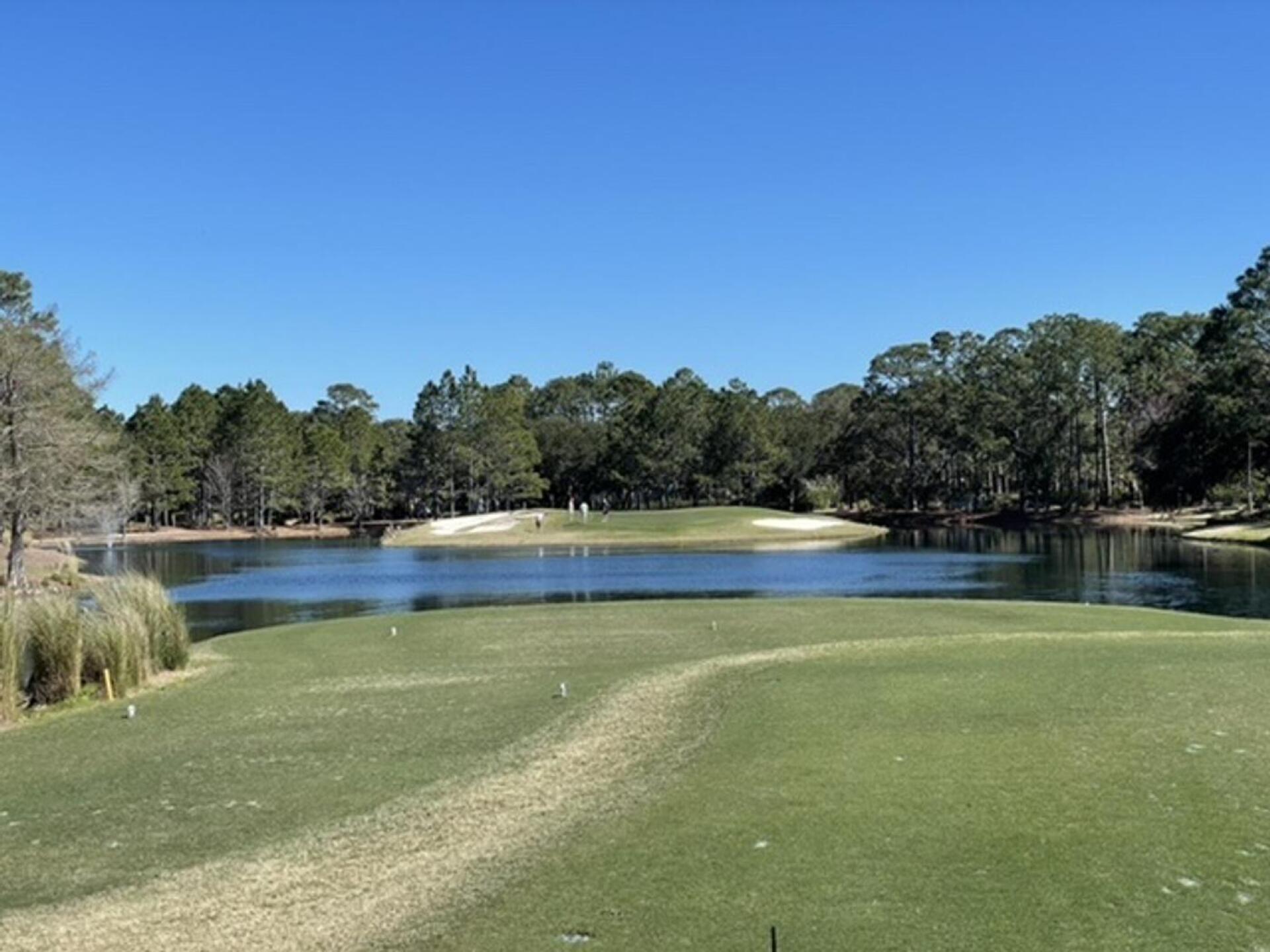 Island green! (Photo submitted by Brian1423139 on 02/24/2021)