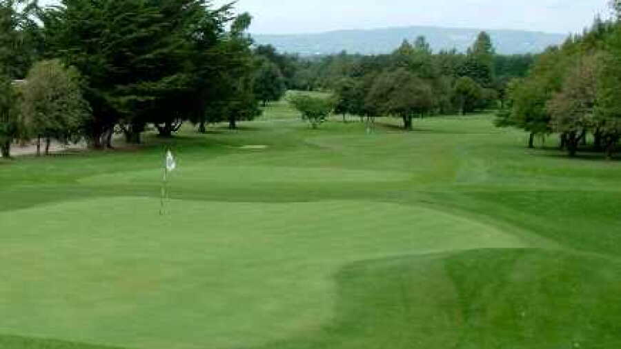 Limerick GC: #18