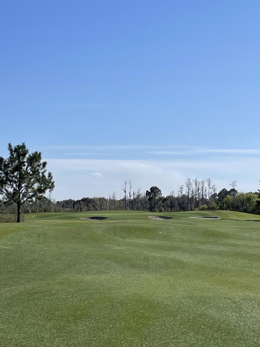 (Photo submitted by Jmath on 01/30/2026)