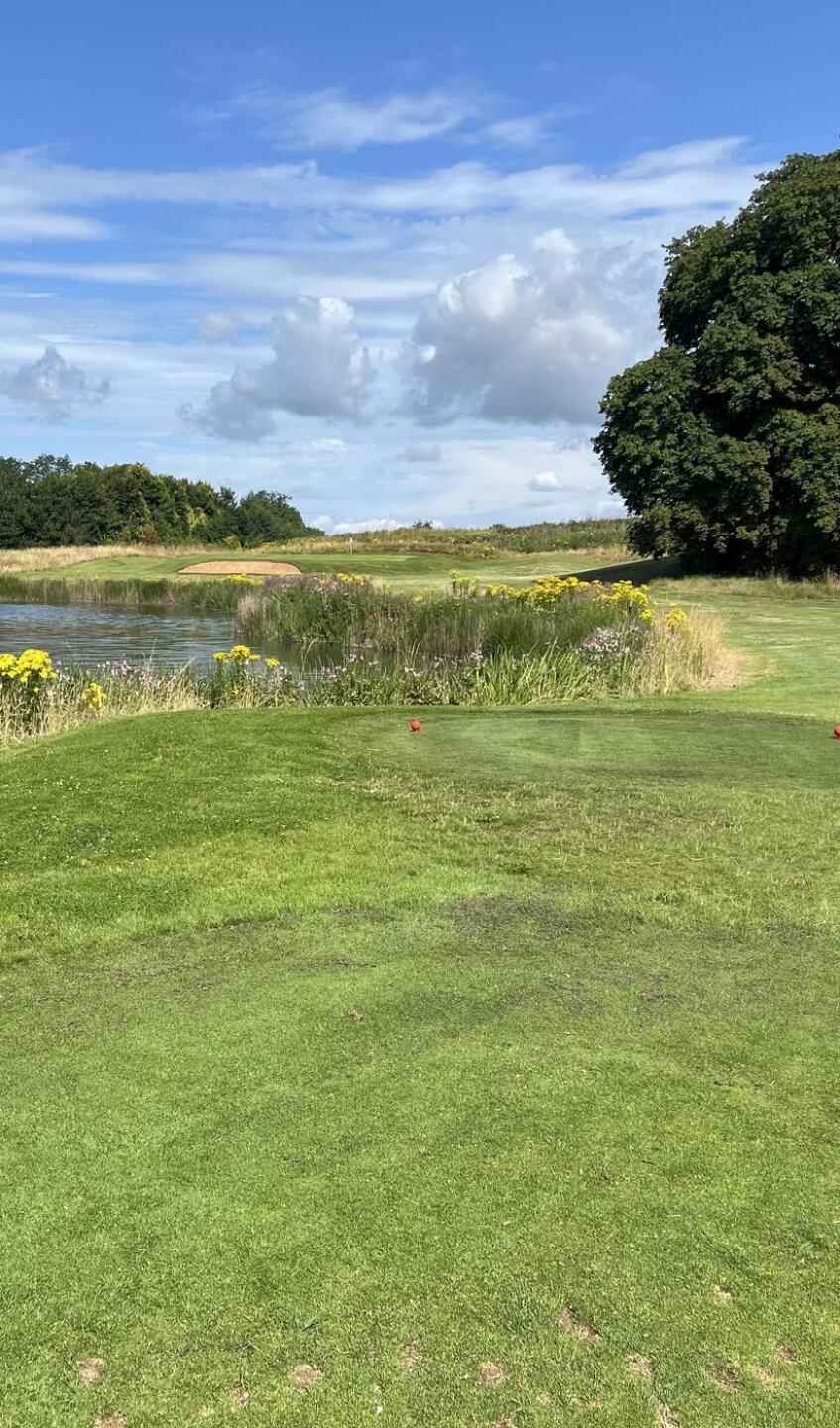 (Photo submitted by AroundtheHouse on 07/27/2024)