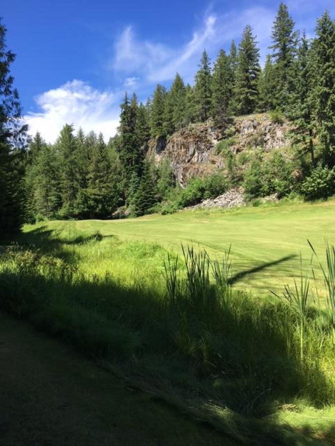 #8 (Photo submitted by gsbarry on 06/30/2017)